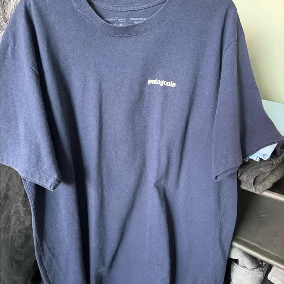 EUC Patagonia Blue Short Sleeve Tee - Picture 3 of 4